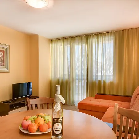 Mountain Apart-hotel 3*