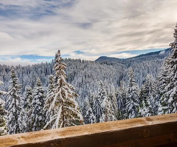 Mountain 3* Pamporovo